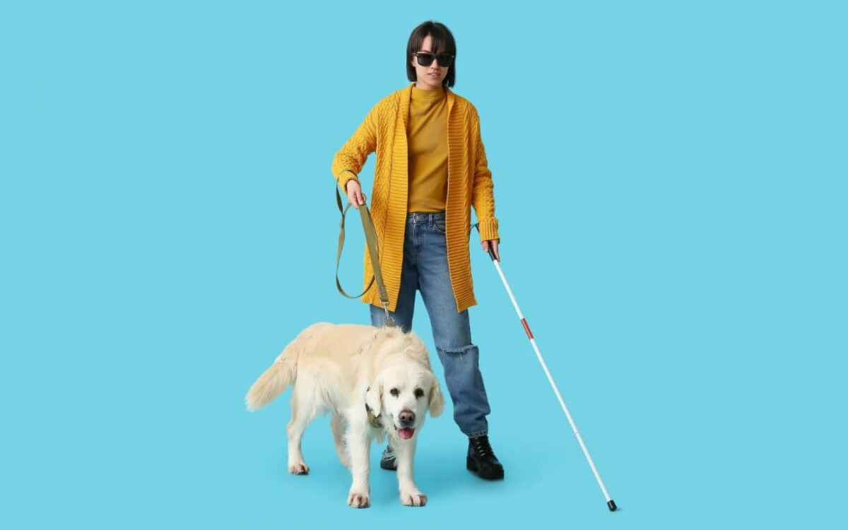 Cão-guia oferece autonomia às pessoas com deficiência visual (Imagem: Pixel-Shot | Shutterstock)