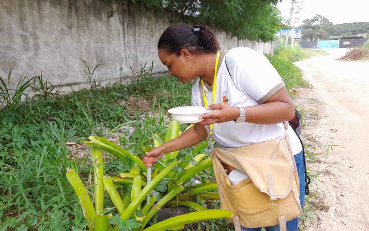 Agentes de Vigilancia Epidemiológica y el Departamento de Obras Públicas de Arararama implementan el Día de la Victoria para combatir el dengue en Bananeras |  Araruama