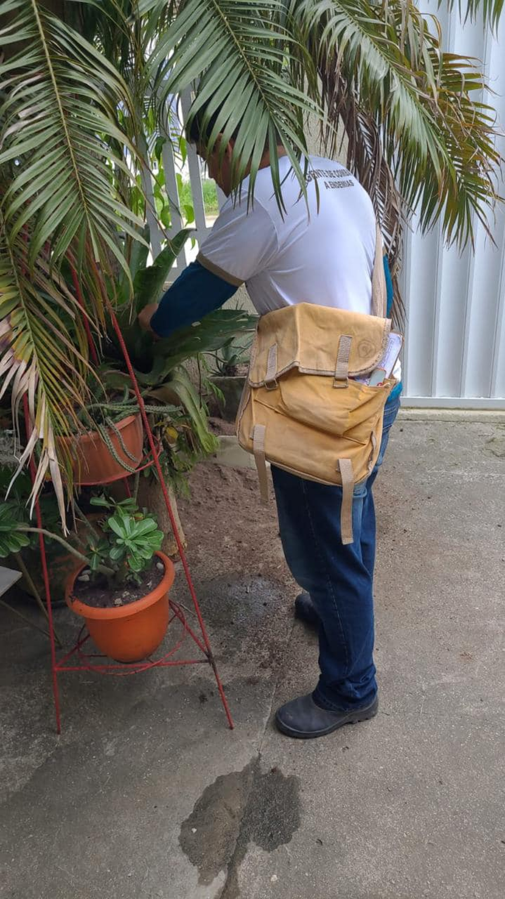 Dia D de Combate à Dengue - Bananeiras