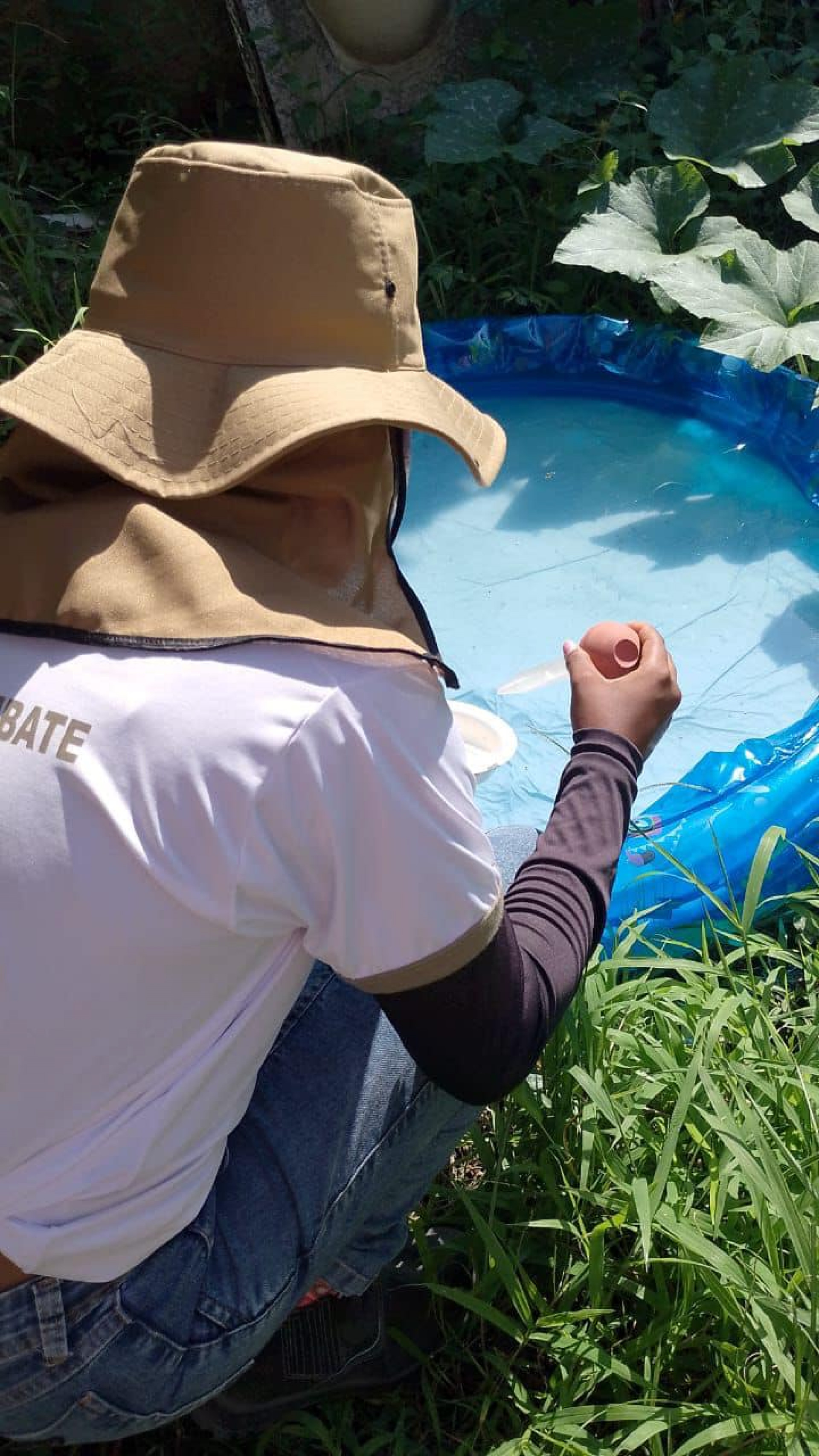 Dia D de Combate à Dengue - Bananeiras