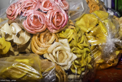 Paty lança primeira edição virtual do Catálogo de Artesanato