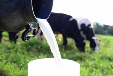 Ministério da Agricultura estuda nova linha de crédito para cooperativas com BNDES