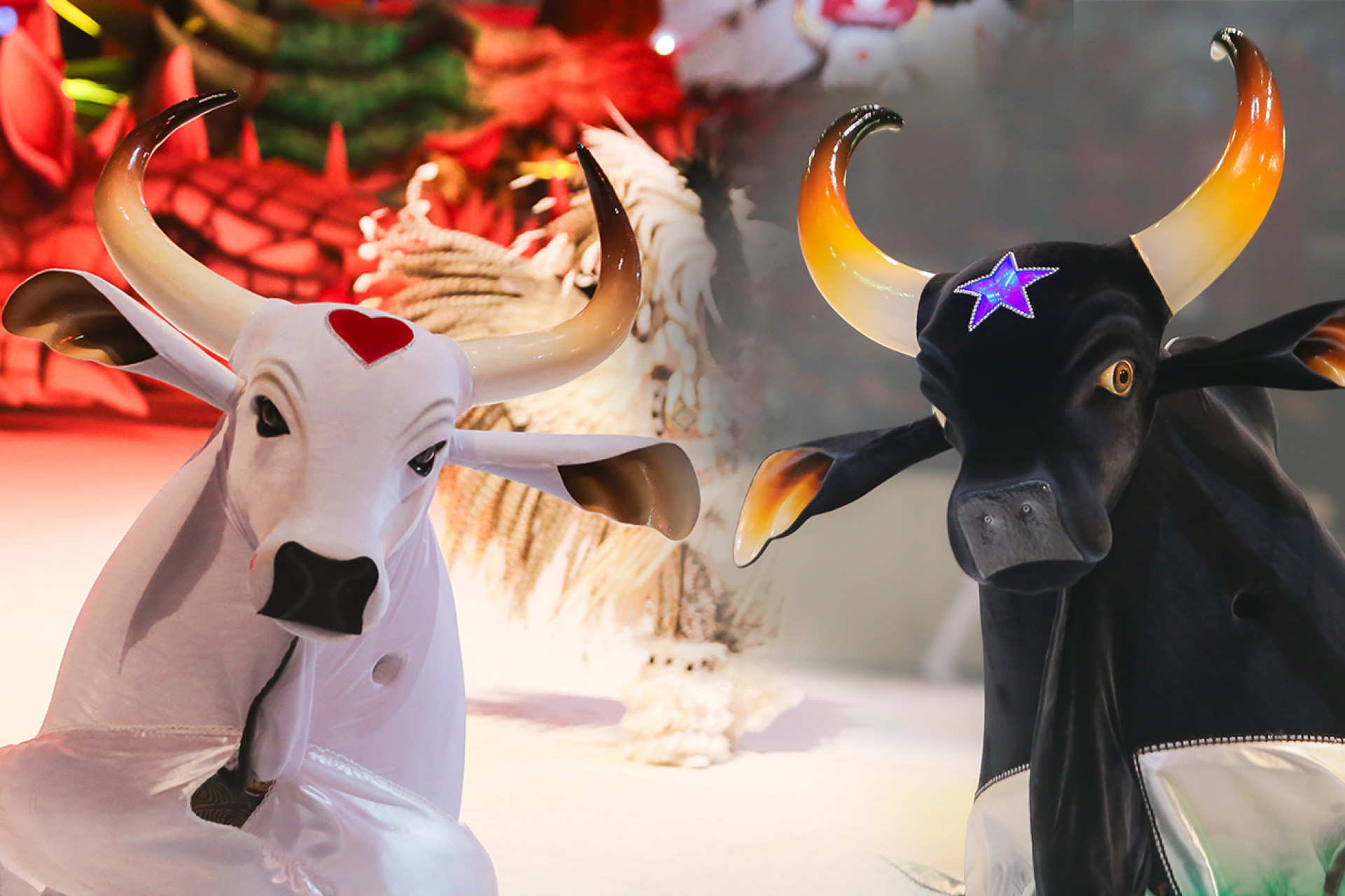 Festival de Parintins será transmitido pela TV Globo pela primeira vez - Divulgação