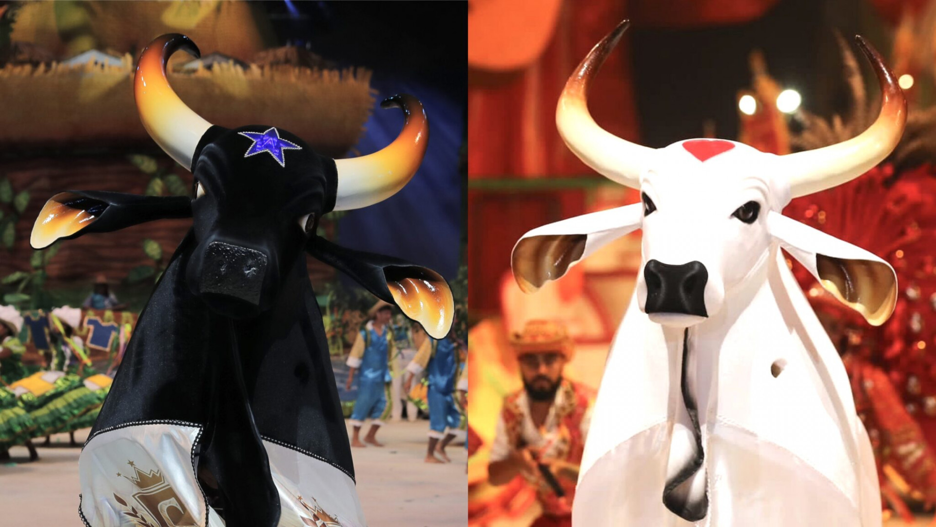 Festival de Parintins será transmitido pela TV Globo pela primeira vez - Divulgação