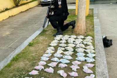 Polícia desarticula ponto de tráfico de drogas em São Pedro da Aldeia