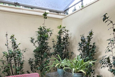 Móvel de acrílico é opção para decorar o jardim