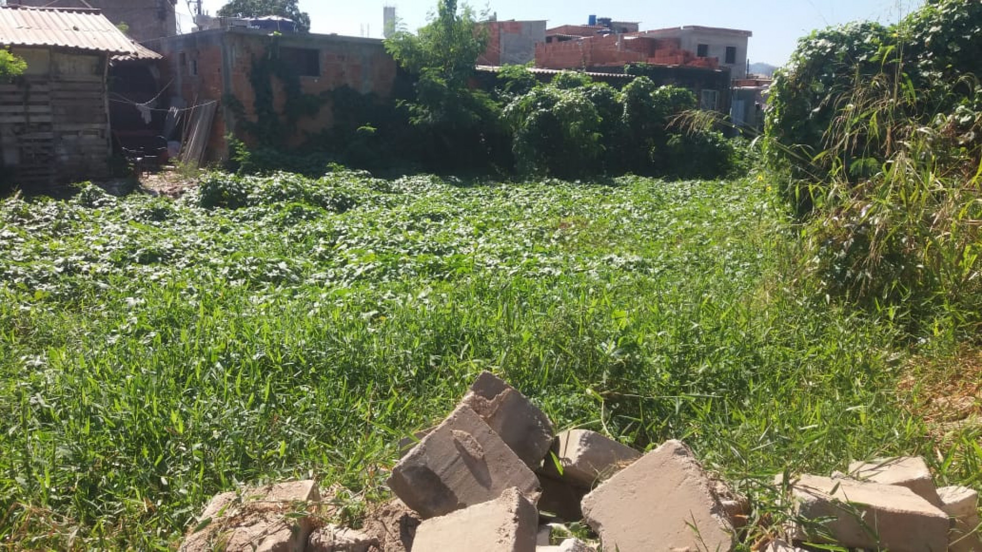 Brejo onde jacaré atacou Alerrandro fica nos fundos da casa da mãe a da avó - Arquivo Pessoal
