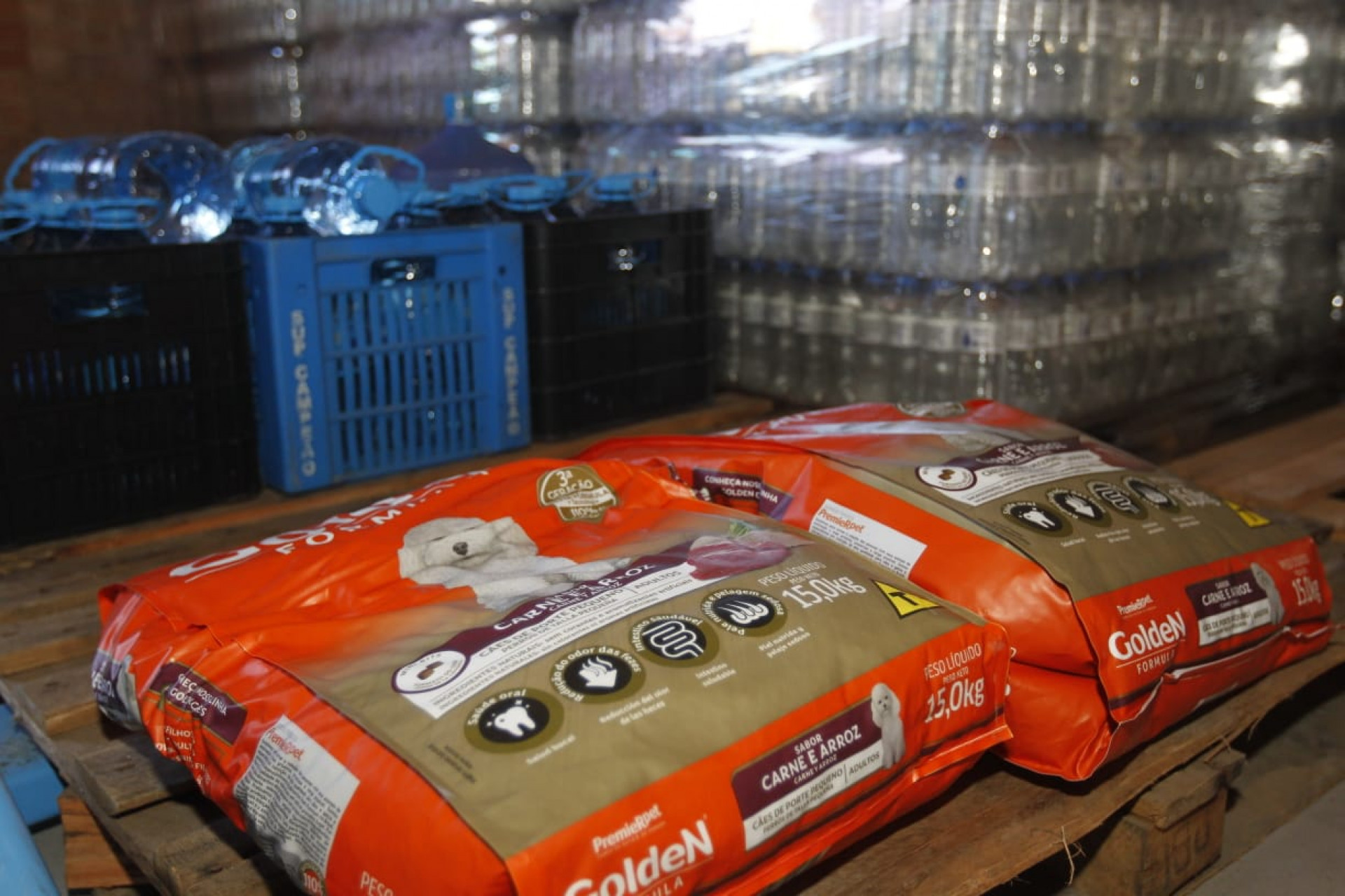 ONG pede que pessoas doem ração para os pets gaúchos - Reginaldo Pimenta / Agência O Dia