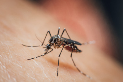 Prefeitura de Araruama divulga cronograma do carro fumacê na luta contra a dengue