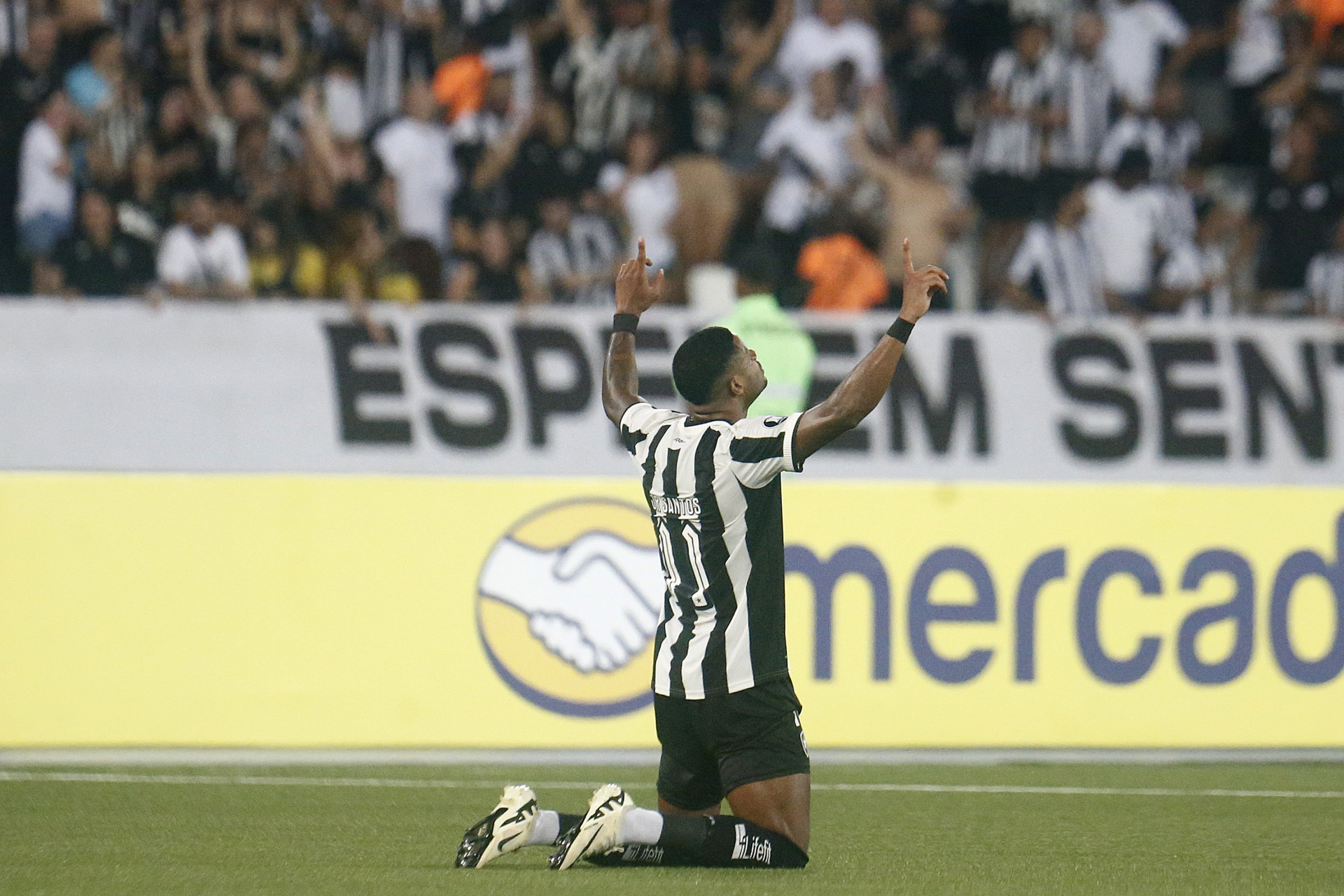  - Vitor Silva/Botafogo. 