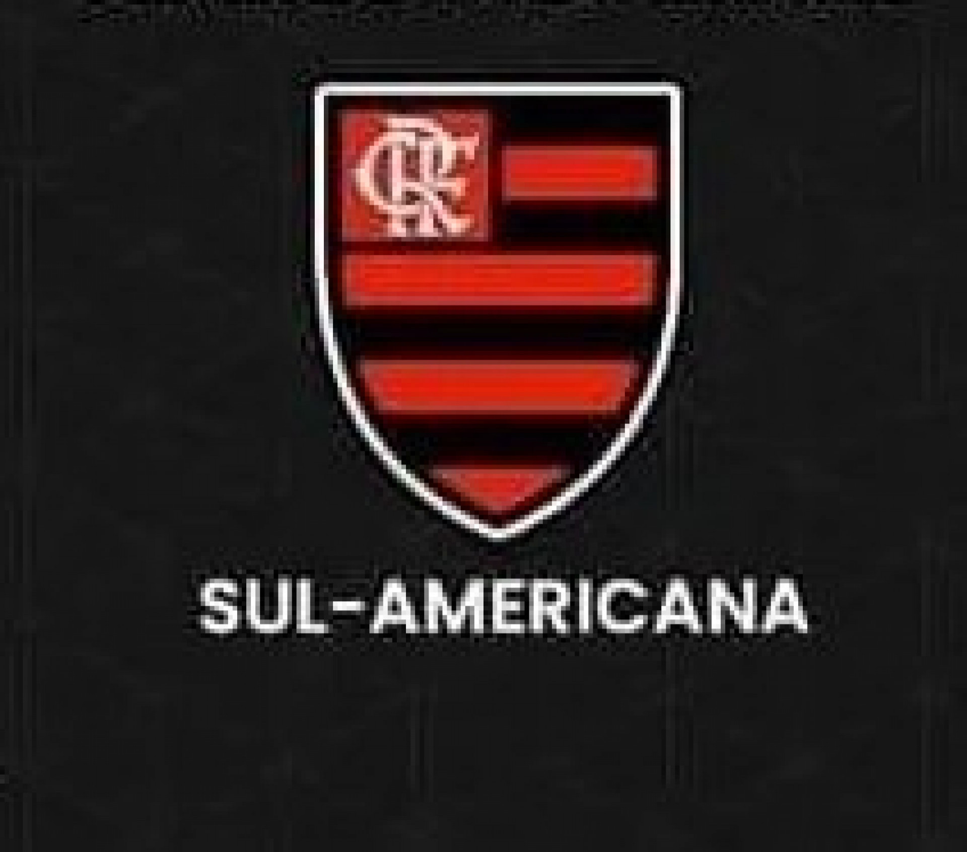 Torcedor brinca com a possibilidade do Flamengo jogar a Sul-Americana - Divulgação/X @eiiarrascaeta