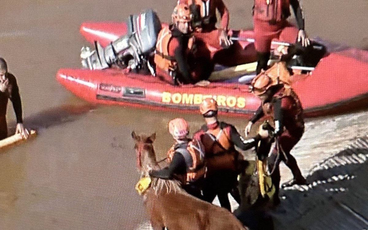 Equipe de resgate com Caramelo durante resgate nesta quinta-feira (9) - Reprodução / GloboNews