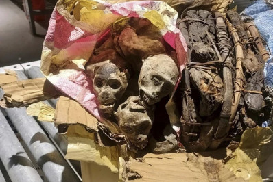 Sinistro! Homem é flagrado com múmias de macacos em aeroporto