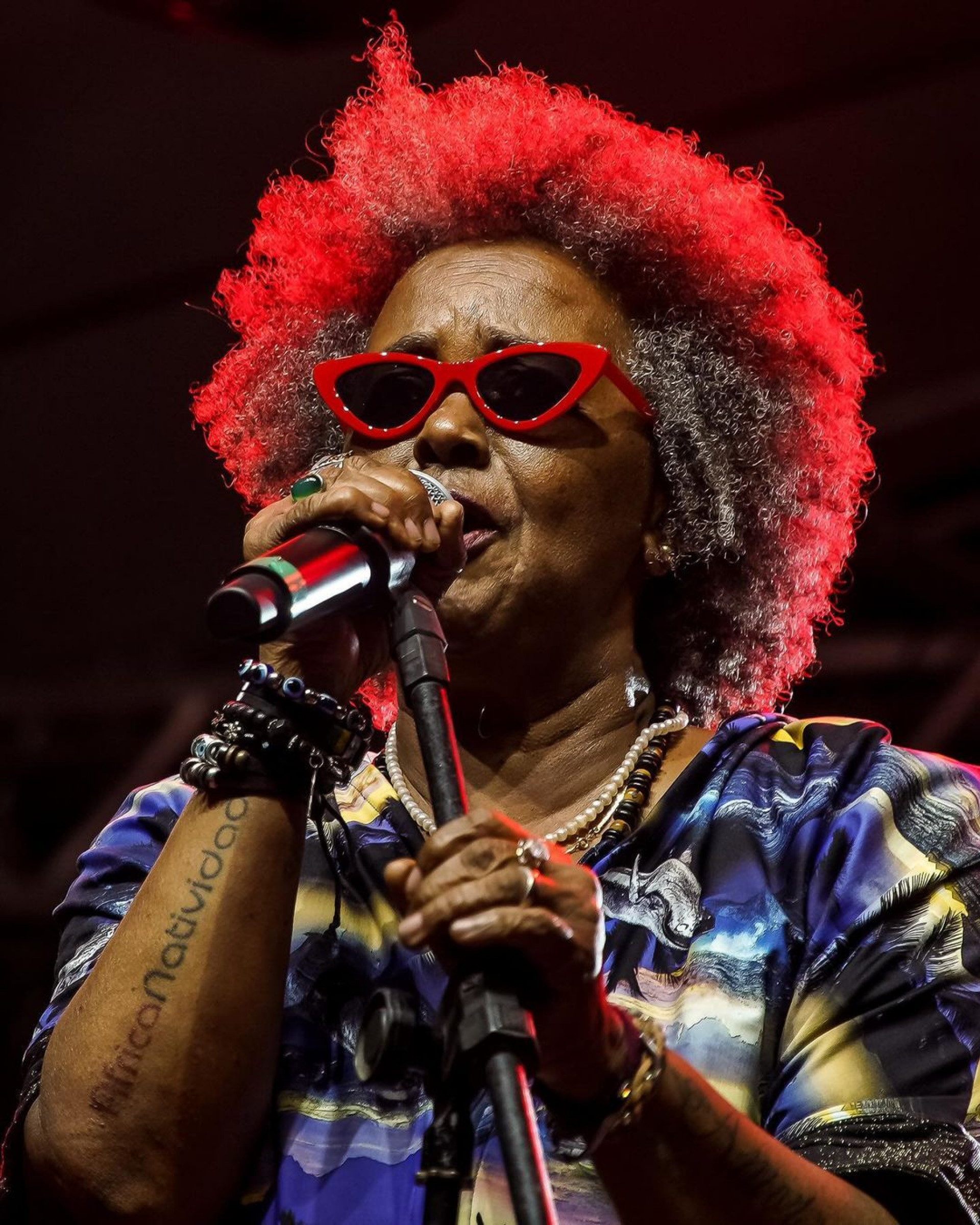 Sandra Sá - Reprodução