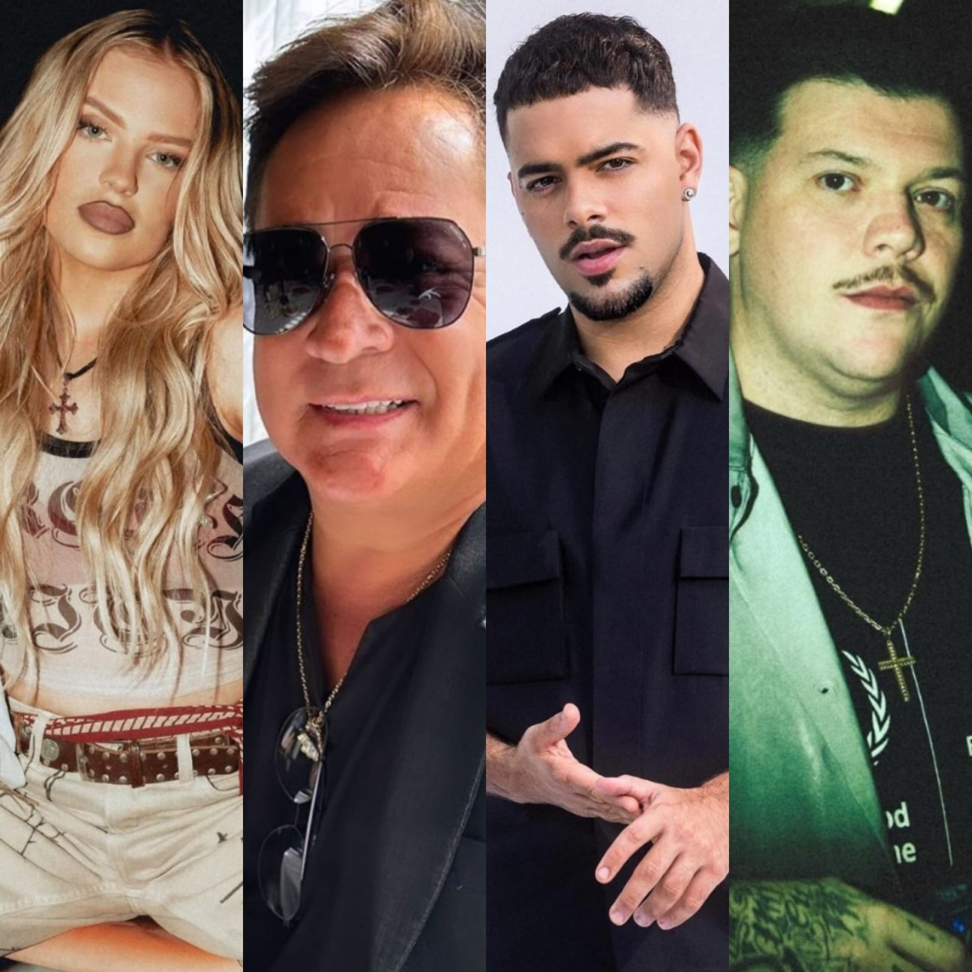 Luísa Sonsa, Leonardo, Pedro Sampaio e Ferrugem são alguns nomes confirmados no festival beneficente 'Salve o Sul' - Reprodução / Instagram
