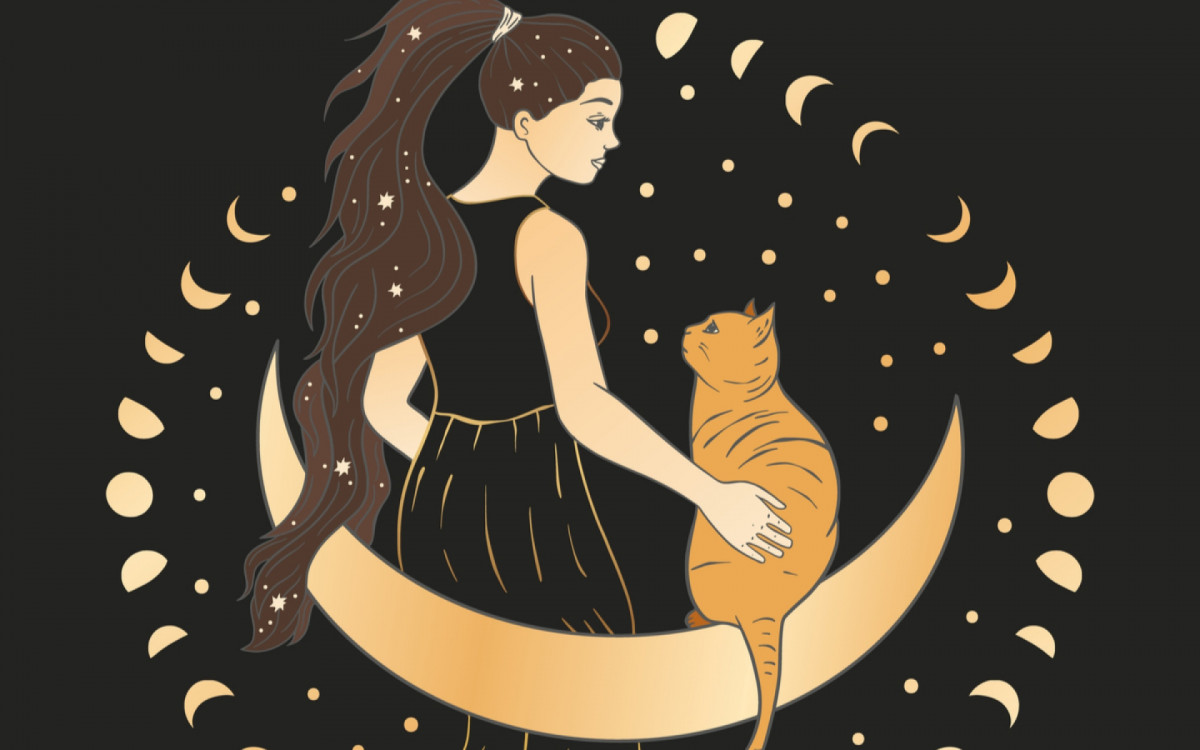 Astrologia também ajuda os tutores a entenderem a personalidade dos gatos (Imagem: Trigubova Irina | Shutterstock)