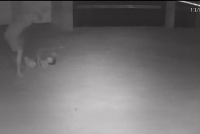 Homem é preso por agredir filho de 5 anos em Niterói