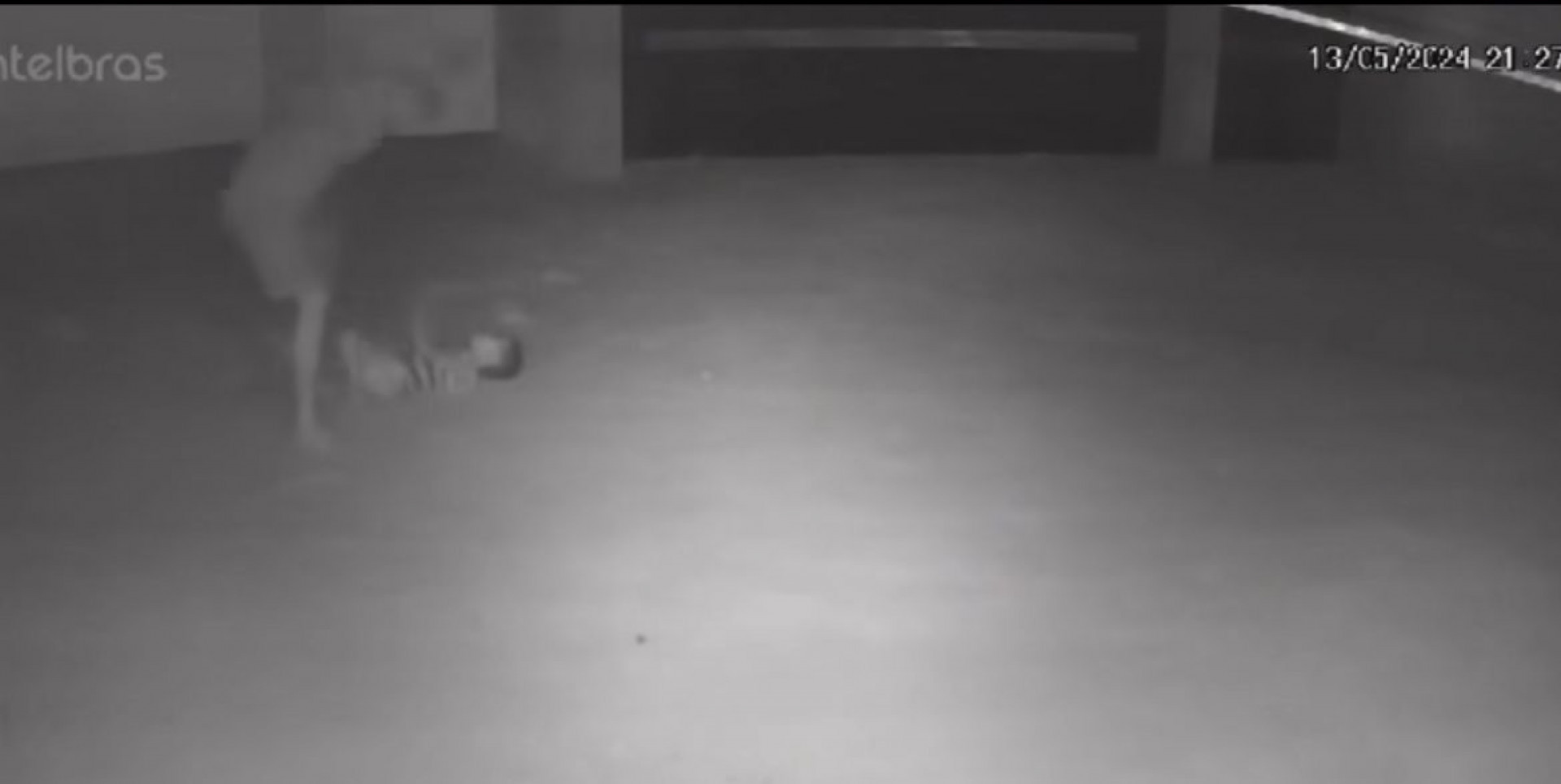 Homem agrediu o próprio filho com um chinelo e foi preso em Niterói - Reprodução