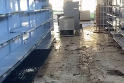 Empresária se emociona após ter loja roubada durante enchente no RS: ‘Levaram tudo’