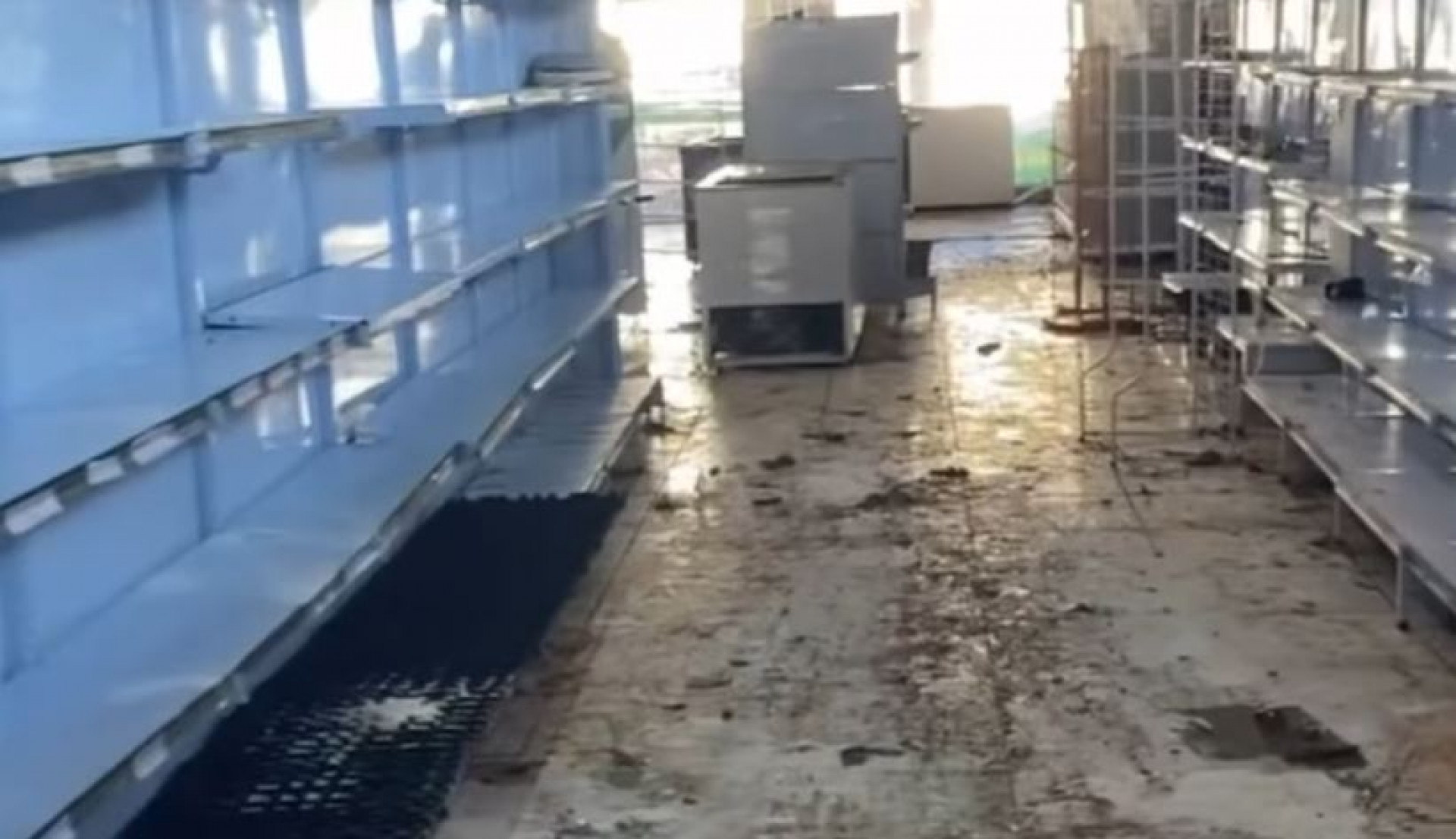 Segundo a proprietária da loja, mais de 20 mil itens foram saqueados - Reprodução / Redes sociais