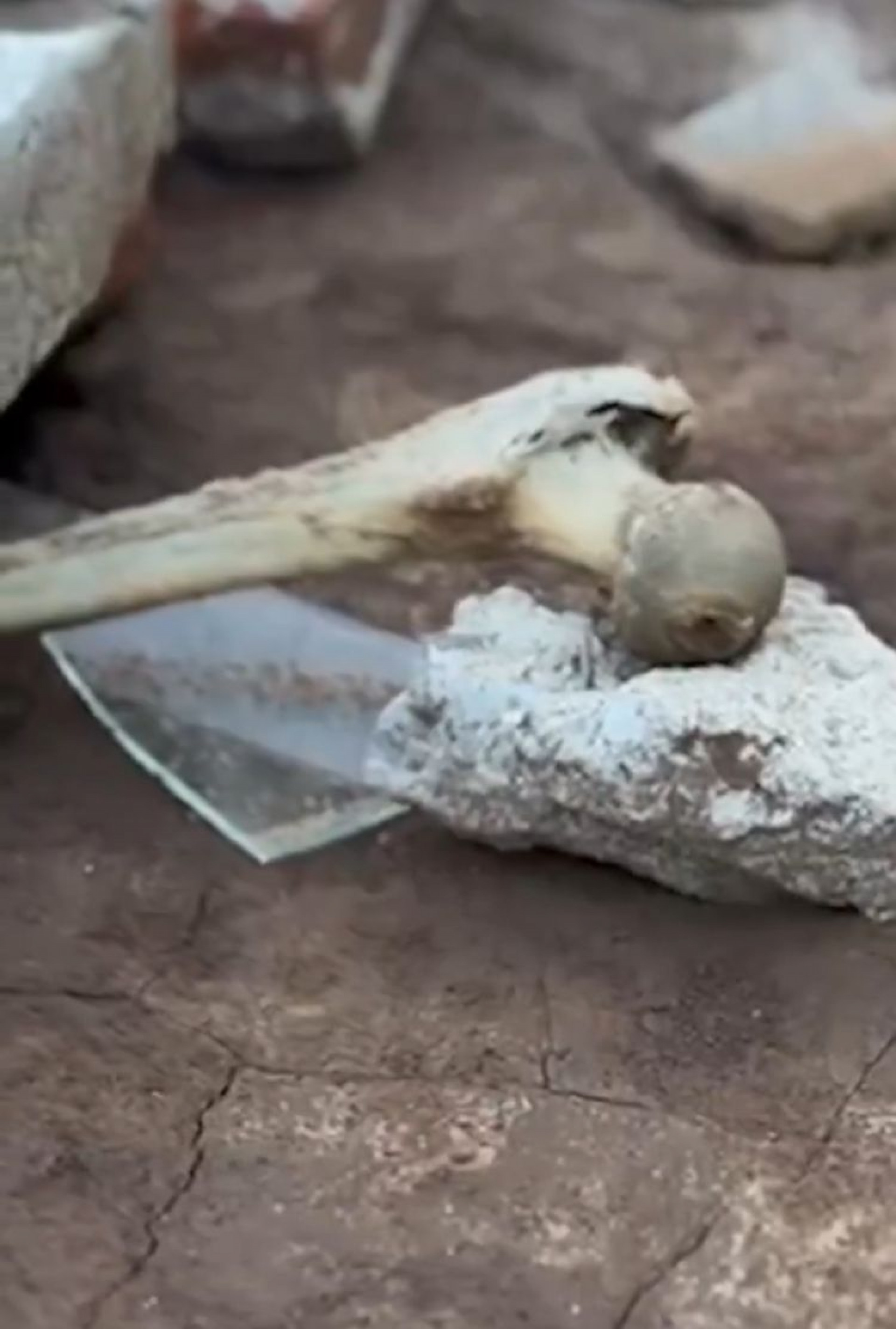 No local, é possível encontrar ossadas expostas e um ambiente em ruínas - Reprodução/redes sociais