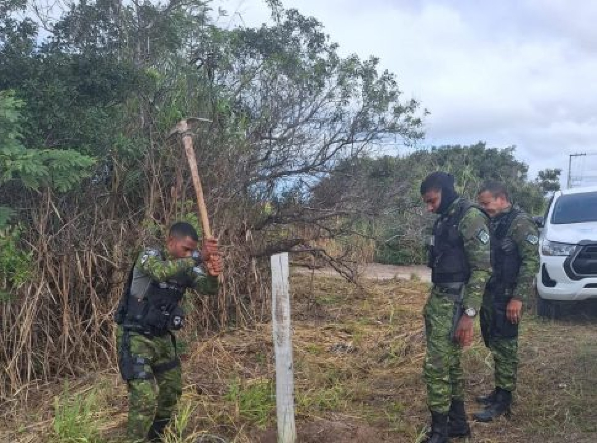 Opera&ccedil;&atilde;o conjunta  - Divulga&ccedil;&atilde;o 