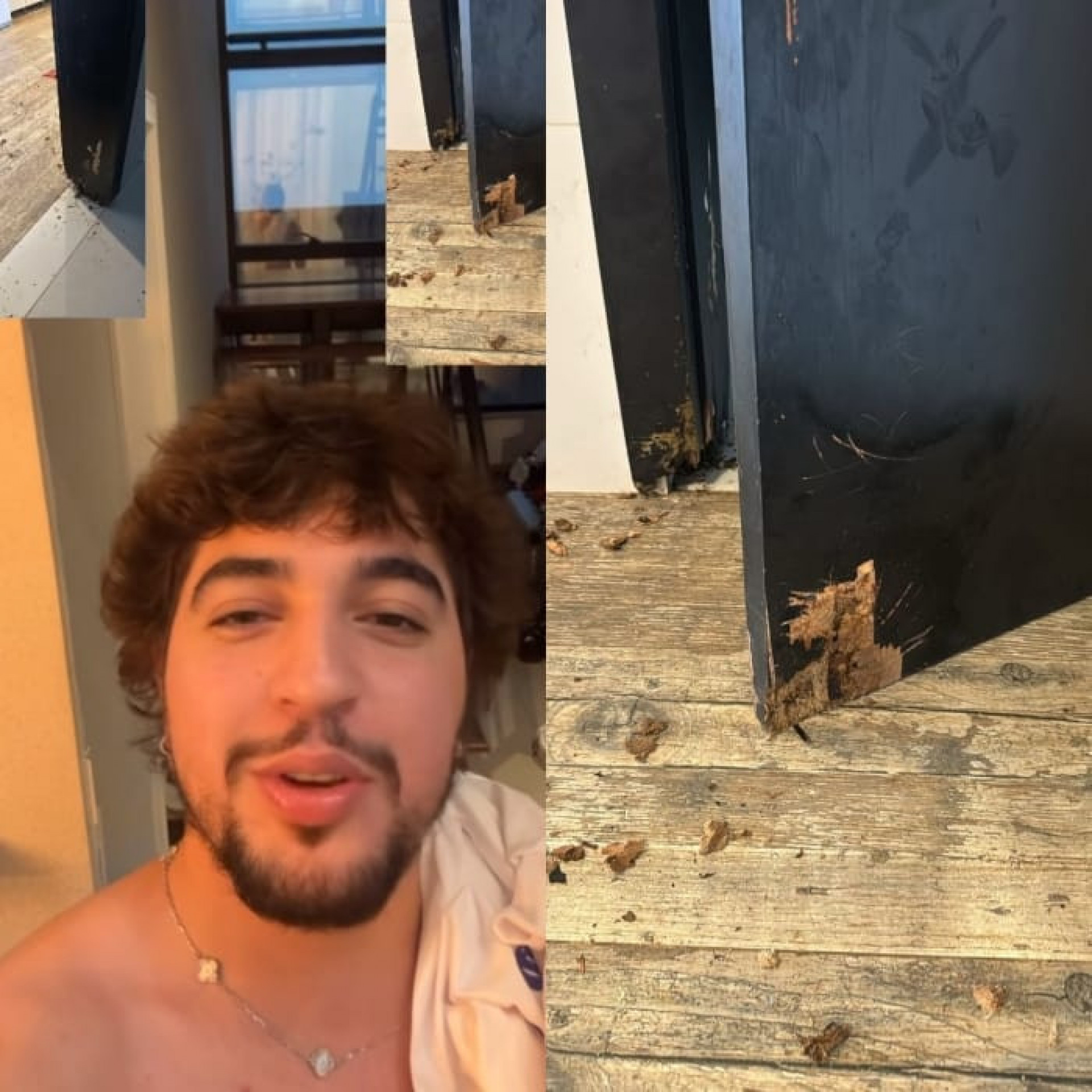 Cantor Nattan comemora os estragos que seus cachorros estão fazendo na casa do sertanejo Henrique - Reprodução / Instagram