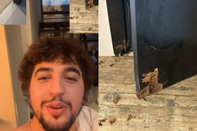 Cachorros 'sequestrados' destroem casa de Henrique e Nattan comemora: 'É isso, meus garotos'