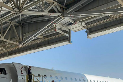 Avião de presidente do Palmeiras resgata cerca de 100 animais no RS