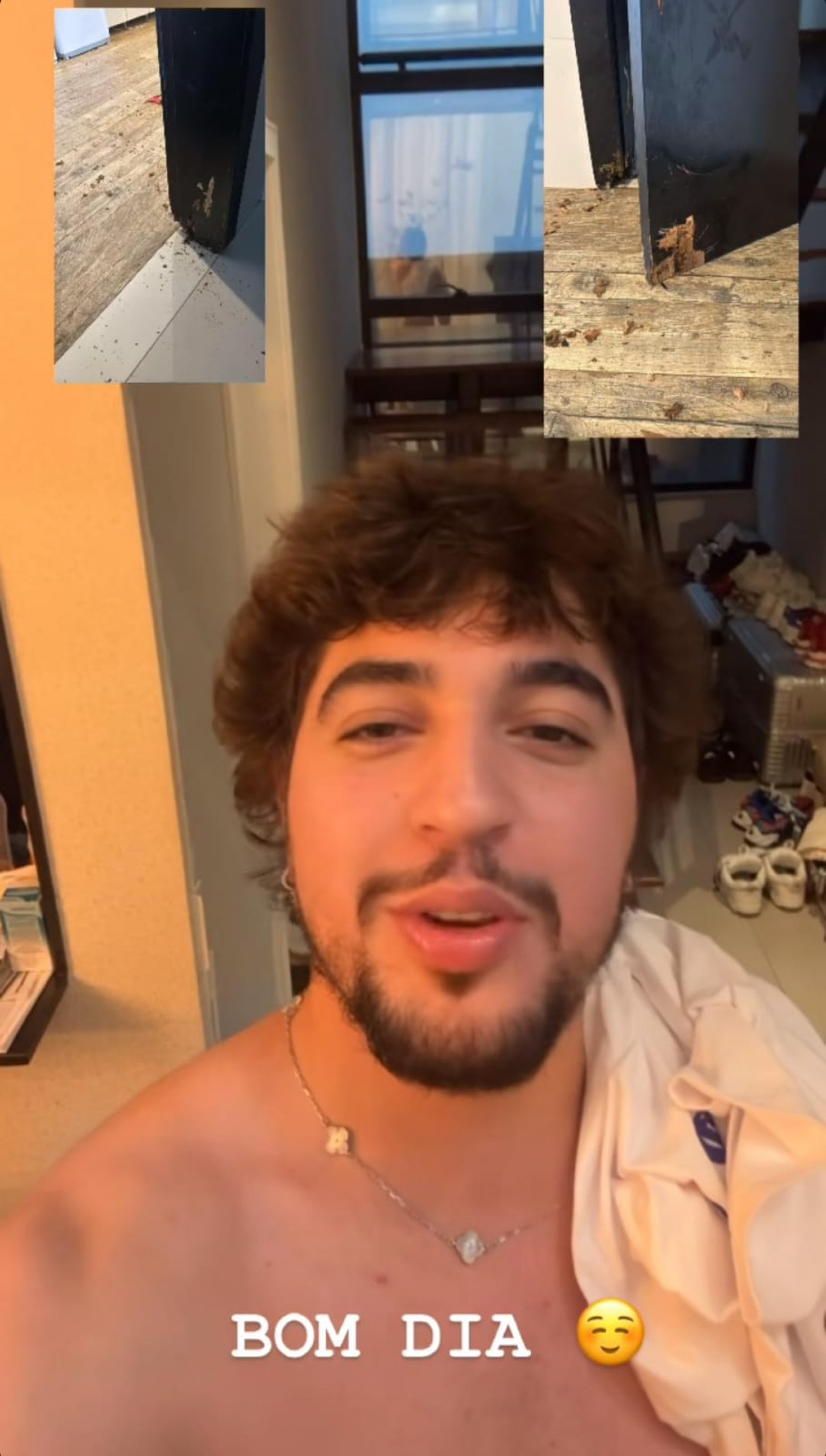 Nattan comemora os estragos que seus cachorros estão fazendo na casa do sertanejo Henrique - Reprodução / Instagram