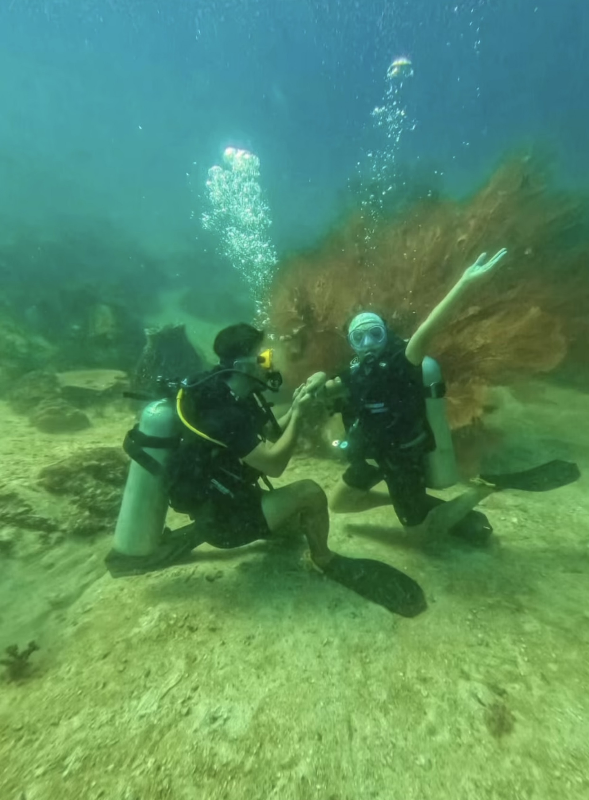 Gabriel David celebra aniversário de Giovanna Lancellotti - Reprodução