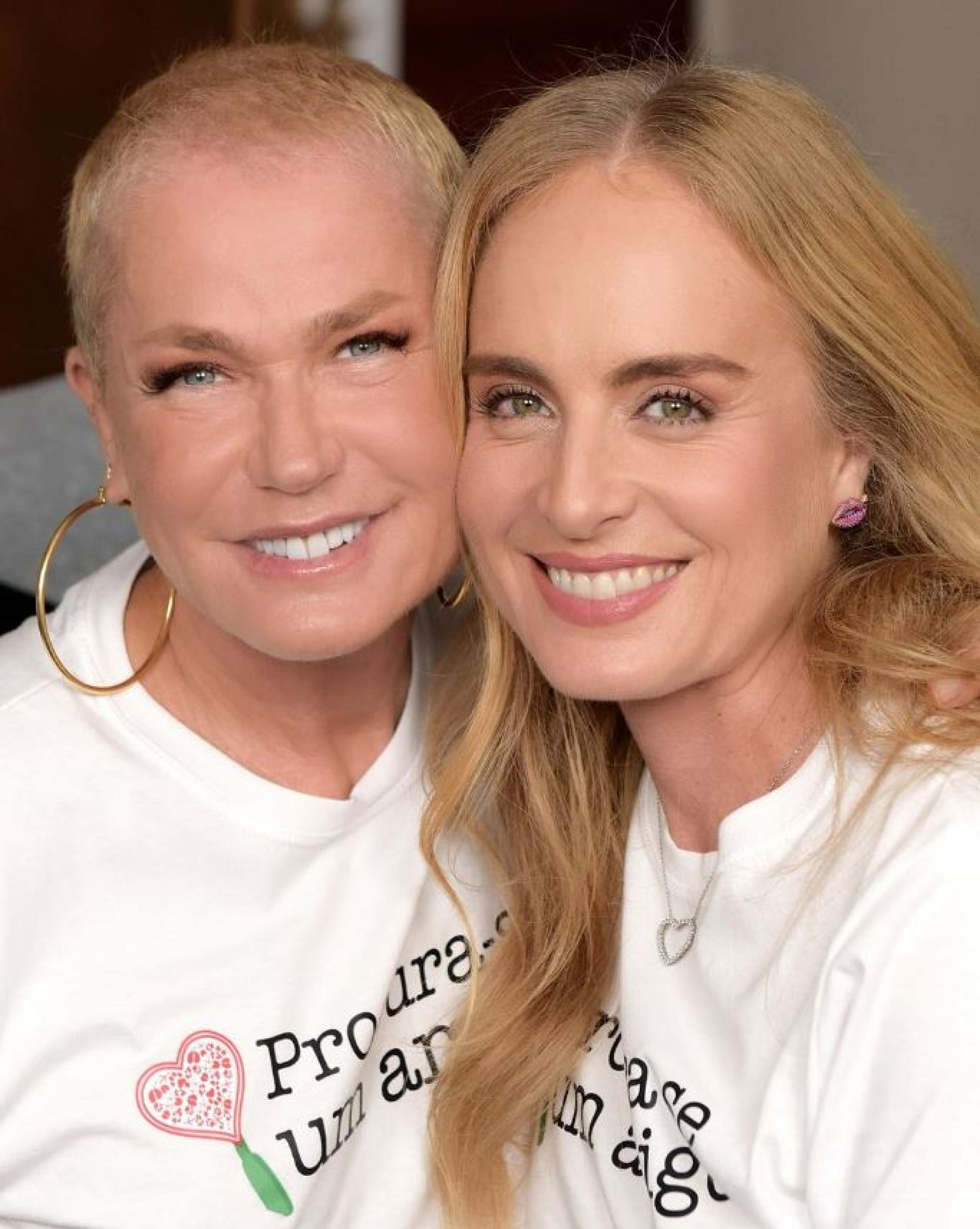 Xuxa e Angélica em campanha para resgate de animais no Rio Grande do Sul - Reprodução / Redes sociais