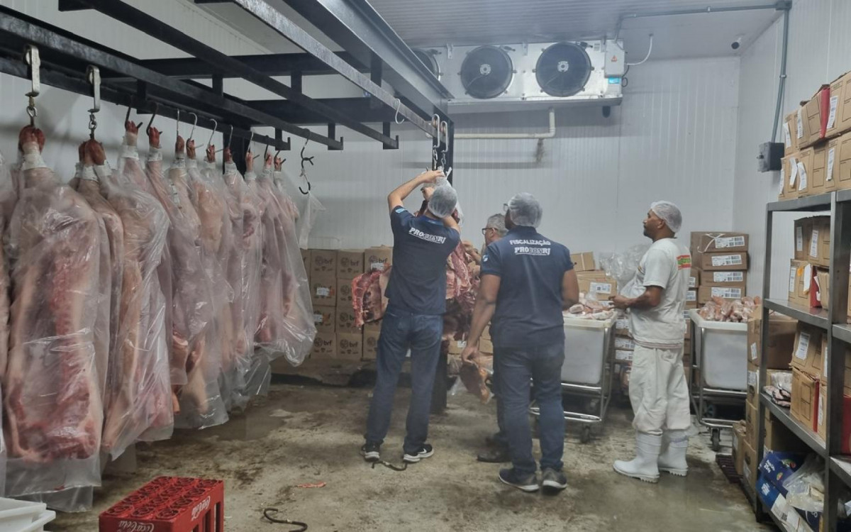Carnes bovinas e carcaças suínas estavam fora da validade 