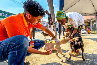 Prefeitura de Belford Roxo vacina mais de 650 animais contra a raiva em Shangrilá