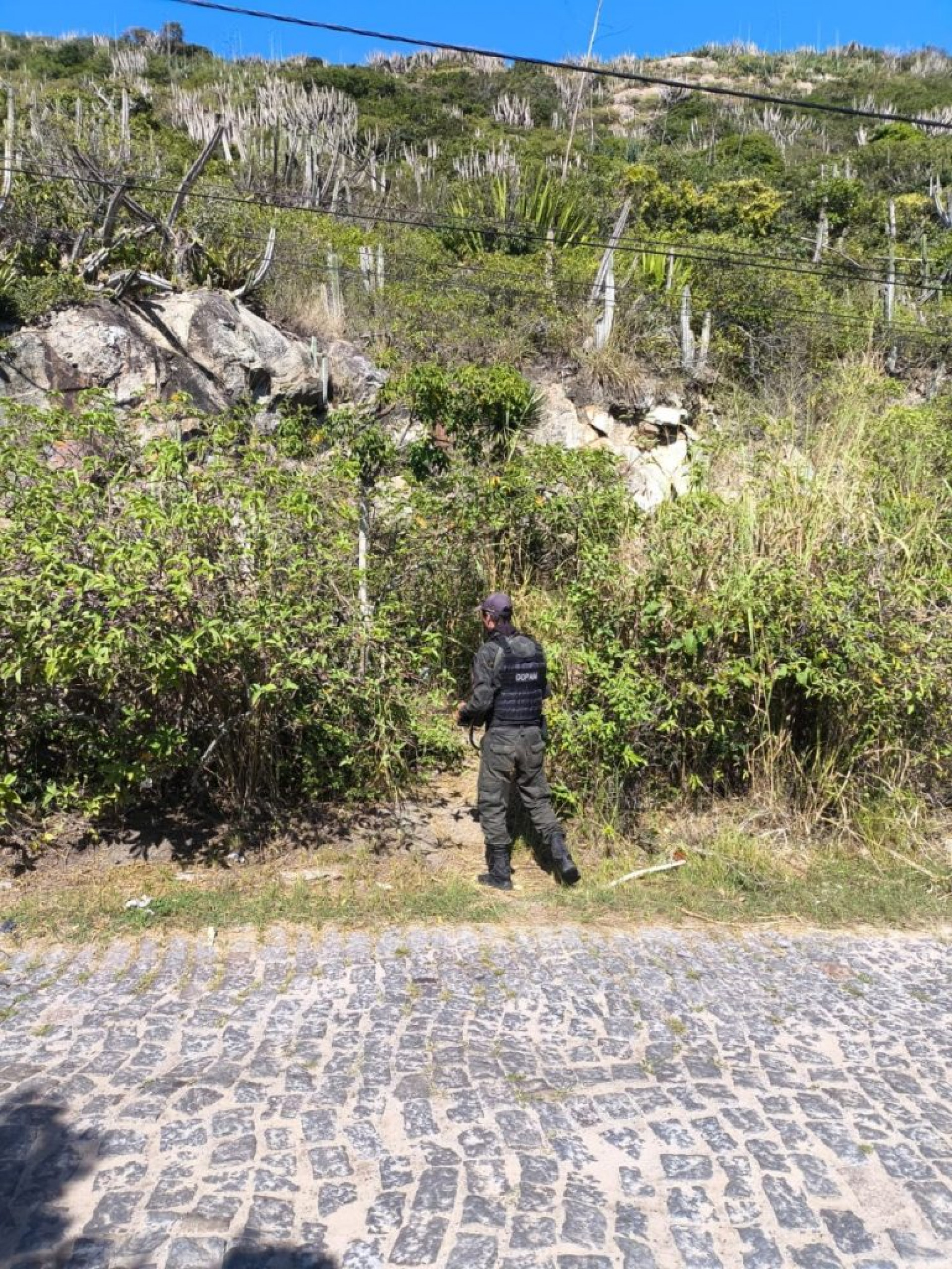 Opera&ccedil;&atilde;o da GOPAM e Policiais Militares do Proeis  - Reprodu&ccedil;&atilde;o/Rede social 