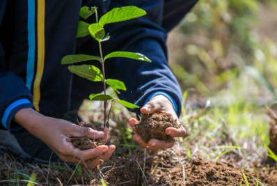 Barra Mansa prepara programação para o Dia da Mata Atlântica