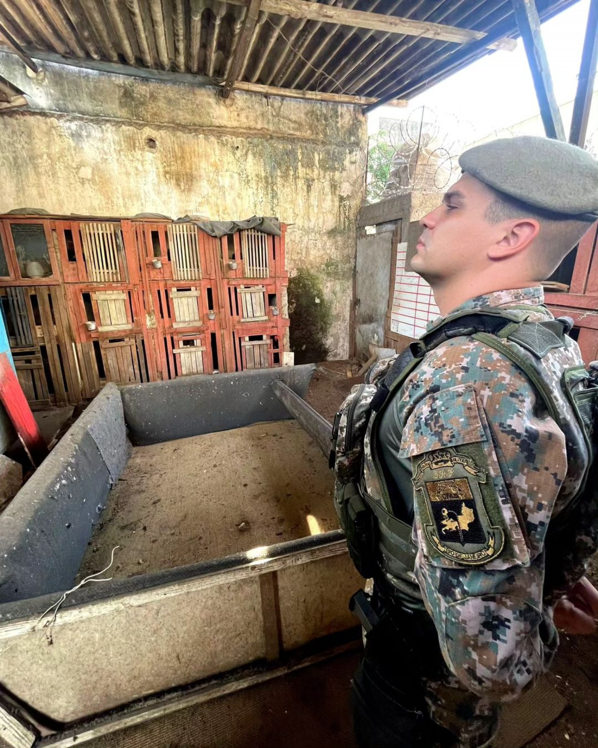 Os animais eram mantidos em condições inadequadas