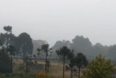 Cidade de SC registra -3,3° C; veja outros municípios que tiveram temperatura negativa