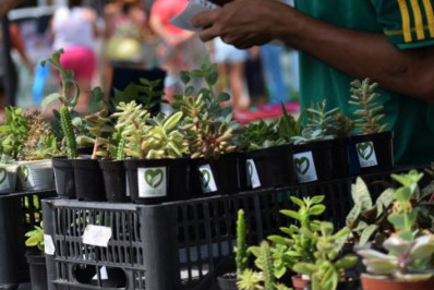 Iguaba Grande inicia as comemorações da Semana do Meio Ambiente neste sábado (1)