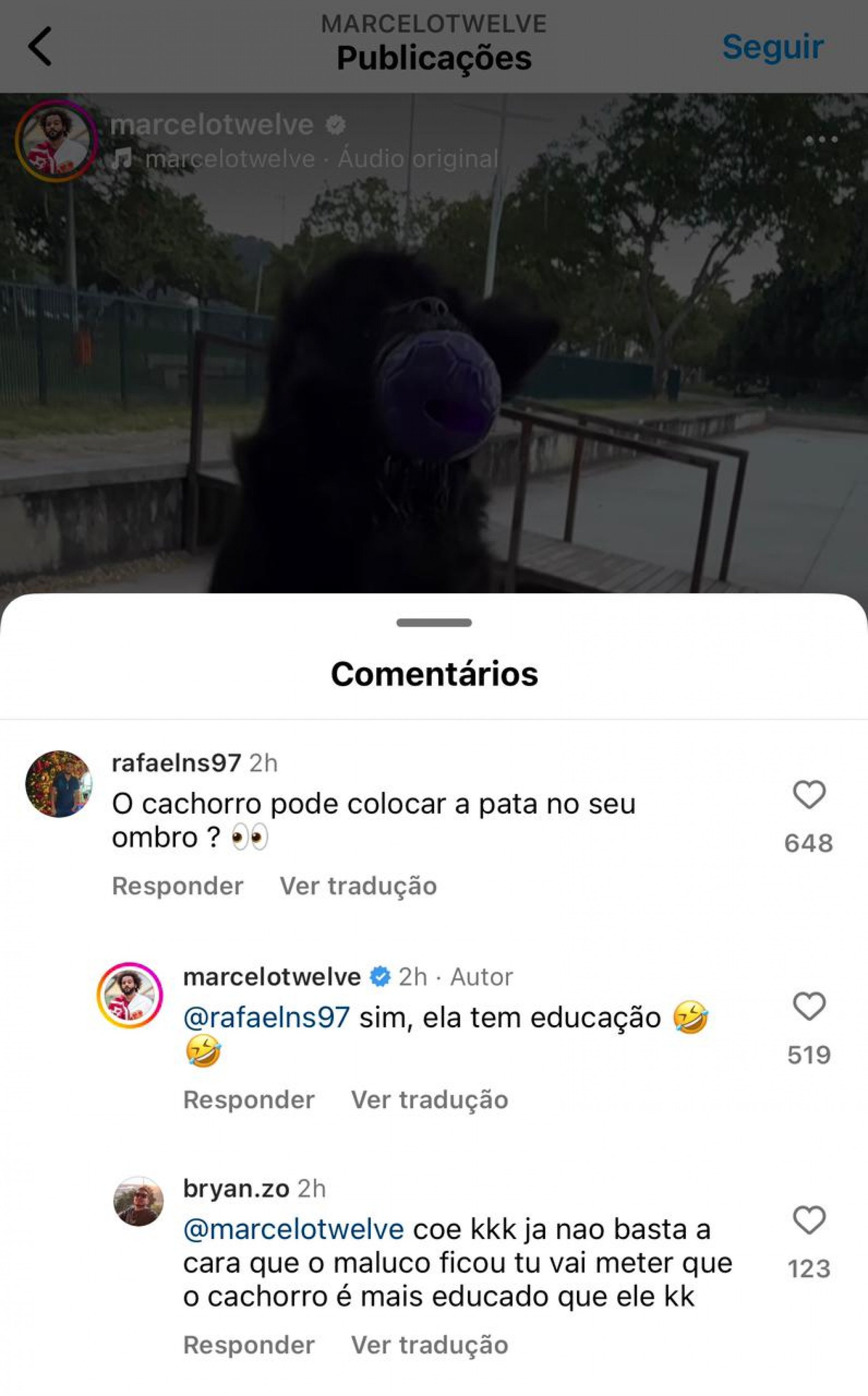 Marcelo Vieira diz que cachorra é educada, web aponta indireta para fã - Foto: Reprodução