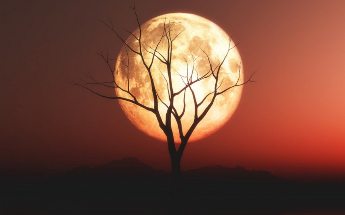 3D render of a landscape with old tree against a red moonlit sky