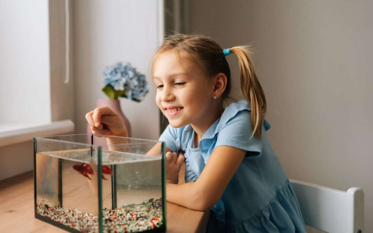 Peixes s&atilde;o pets tranquilos e encantadores (Imagem: Dikushin Dmitry | Shutterstock)