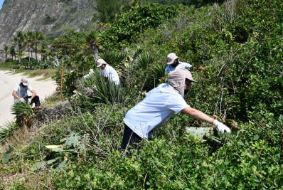 Niterói vai reflorestar restingas de Itacoatiara e Camboinhas