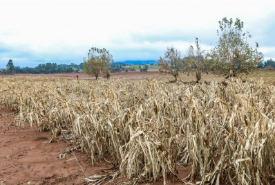 Cheias afetaram mais de 206 mil propriedades rurais, diz Emater-RS
