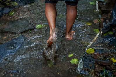 Número de mortes por leptospirose chega a 15 no Rio Grande do Sul