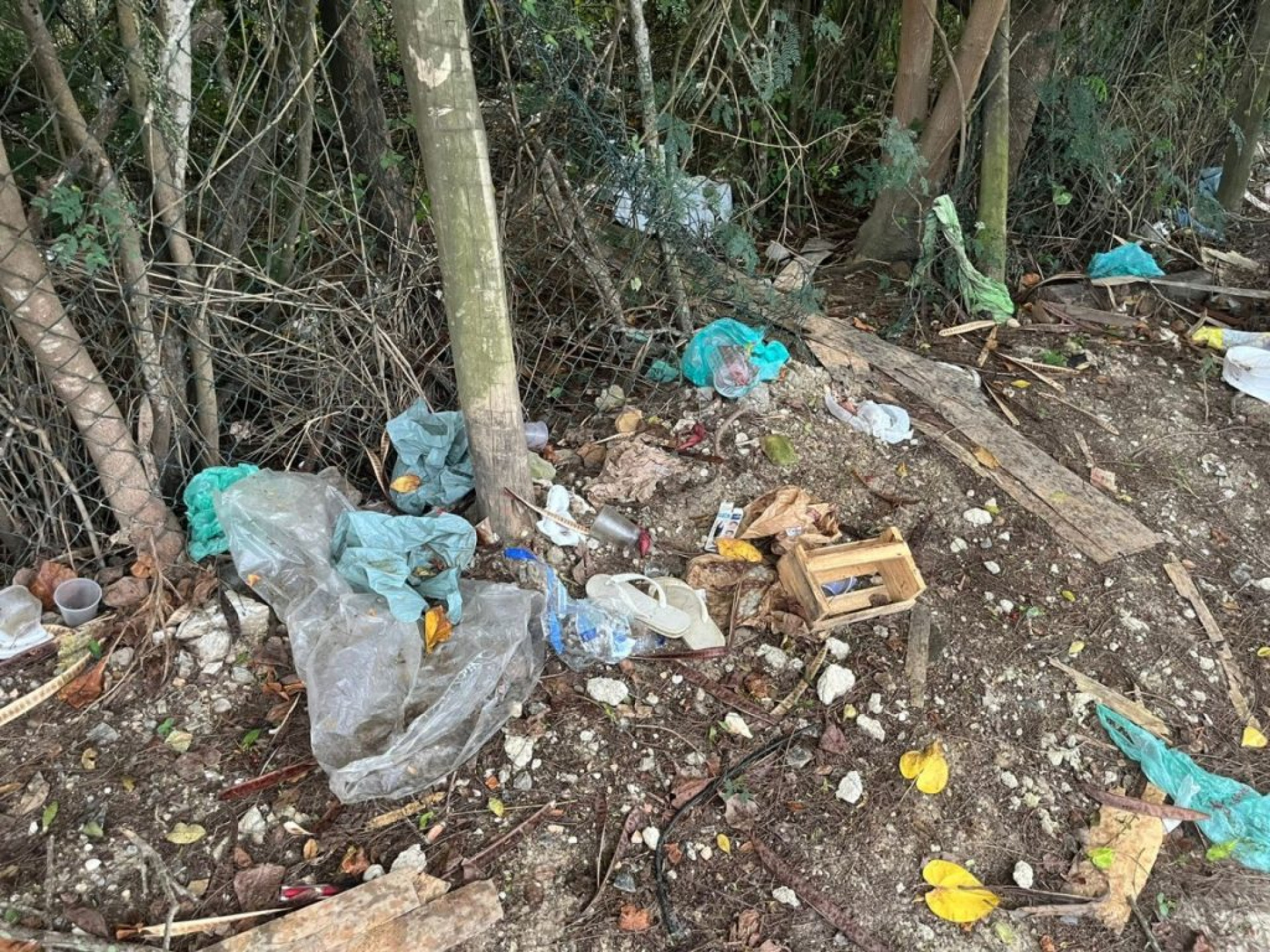 Grades com buracos e lixo - Ludmila Lopes (RC24h)