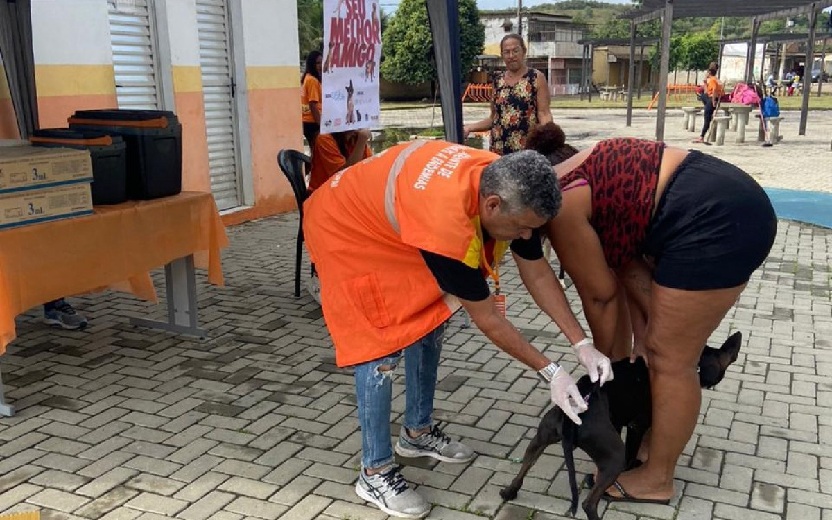 Foram imunizados 1.032 animais, sendo 789 cães e 243 gatos na Praça José Pinto, no bairro Vila Maia, e na Rua Tio Sam, em Nova Aurora