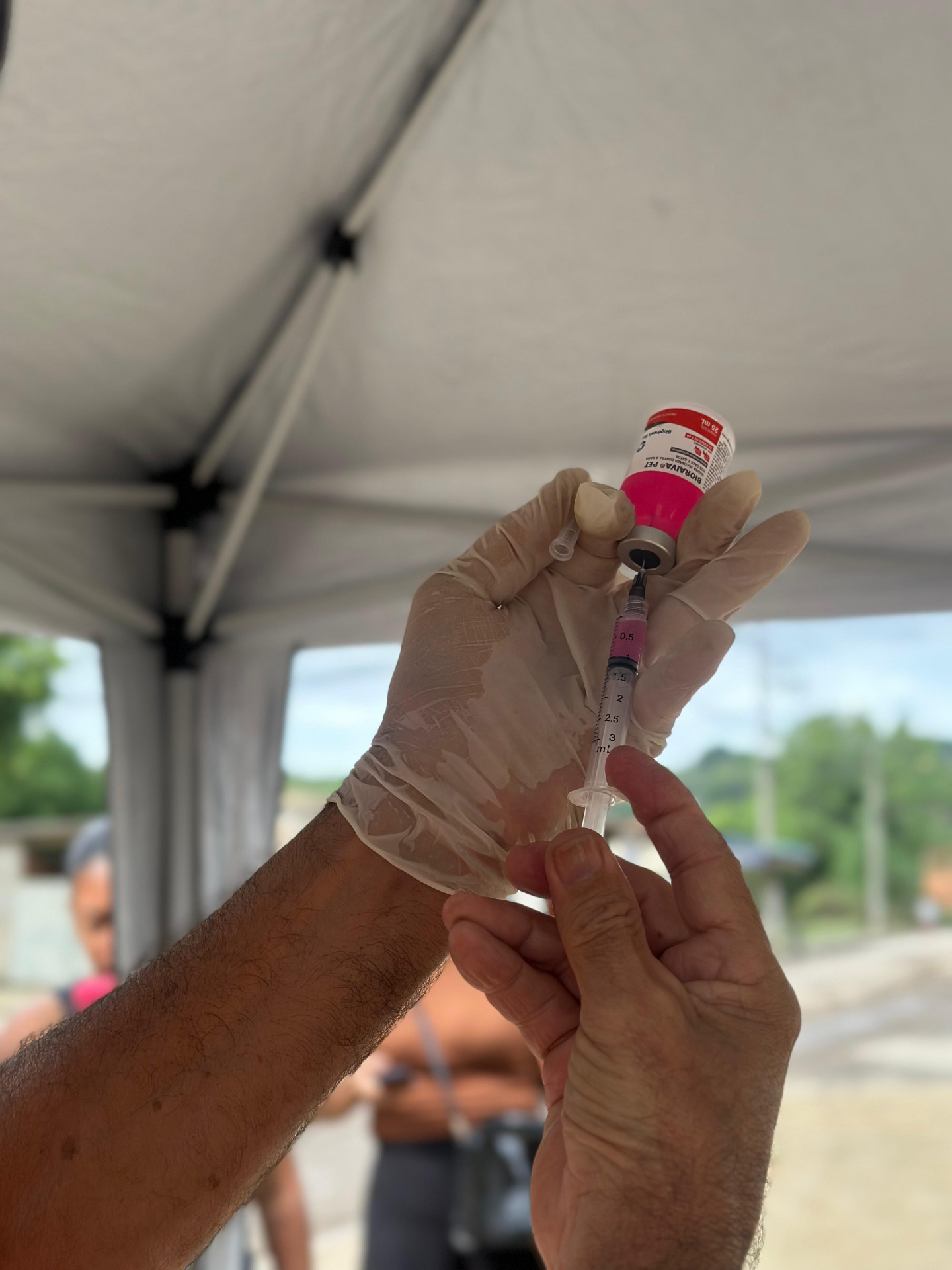 Ao longo do ano s&atilde;o realizadas v&aacute;rias campanhas de vacina&ccedil;&atilde;o contra a raiva por toda a cidade para assim alcan&ccedil;ar o m&aacute;ximo poss&iacute;vel de animais - Divulga&ccedil;&atilde;o / PMBR