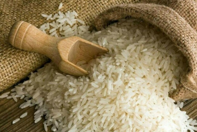 Diretor da Conab responsável por leilão de arroz anulado é destituído