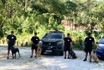 Barra Mansa está com inscrições abertas para campeonato e congresso de cães de polícia